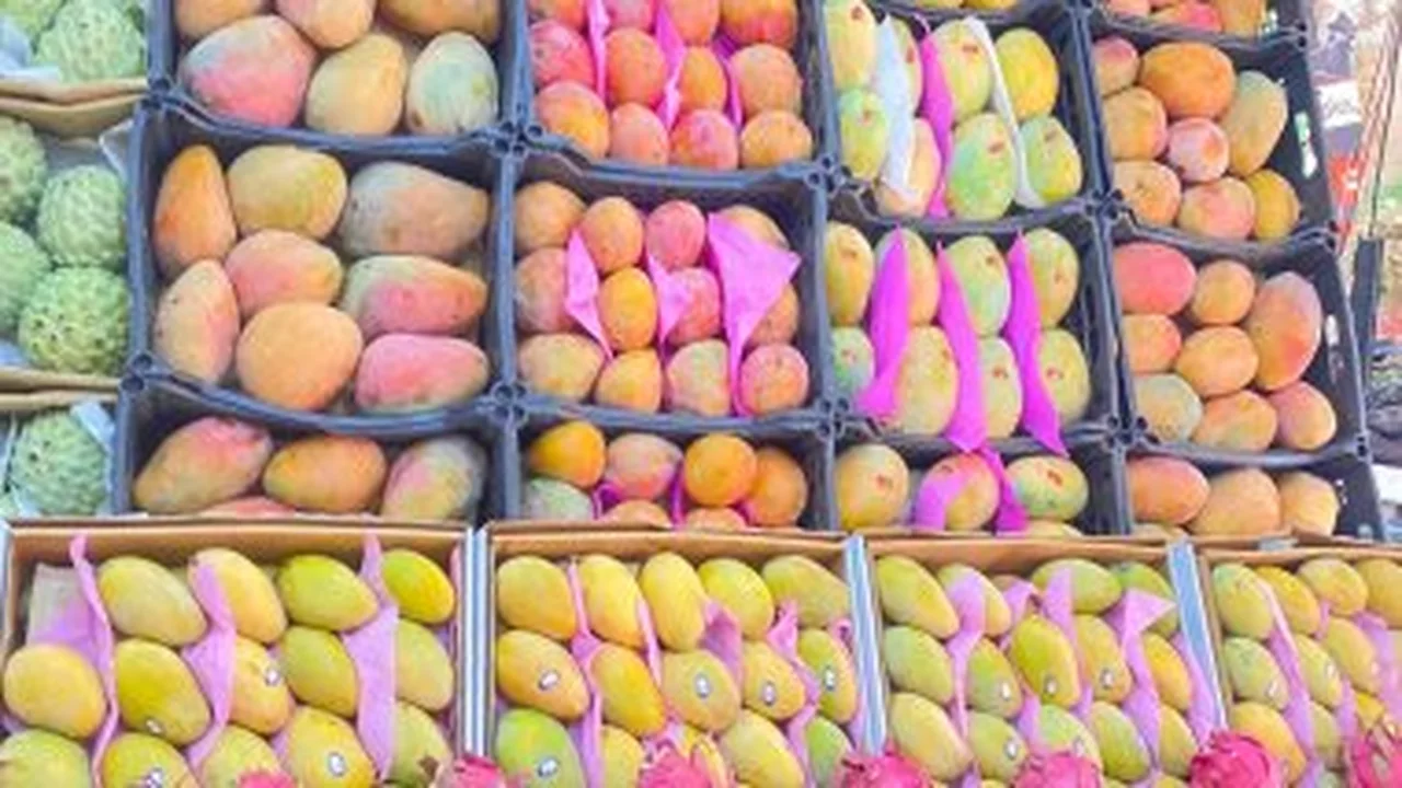 التفاح بكام في قنا؟ أسعار الخضراوات والفاكهة اليوم السبت